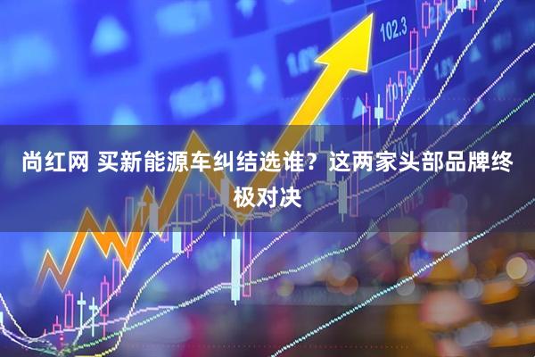 尚红网 买新能源车纠结选谁？这两家头部品牌终极对决