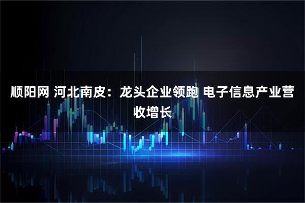 顺阳网 河北南皮：龙头企业领跑 电子信息产业营收增长