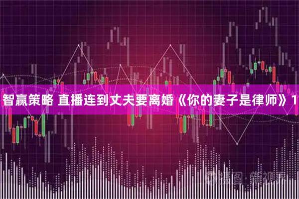 智赢策略 直播连到丈夫要离婚《你的妻子是律师》1