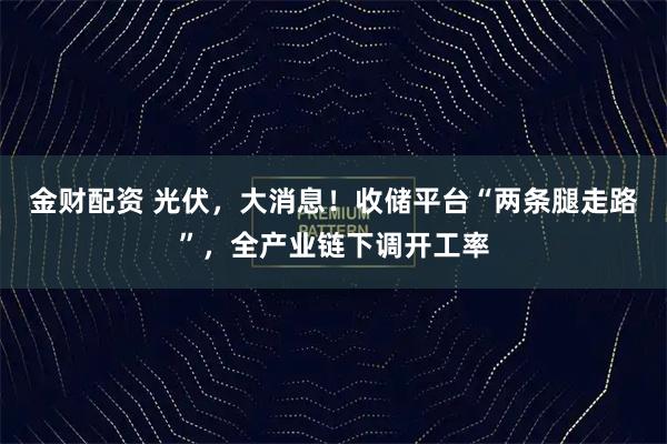 金财配资 光伏，大消息！收储平台“两条腿走路”，全产业链下调开工率